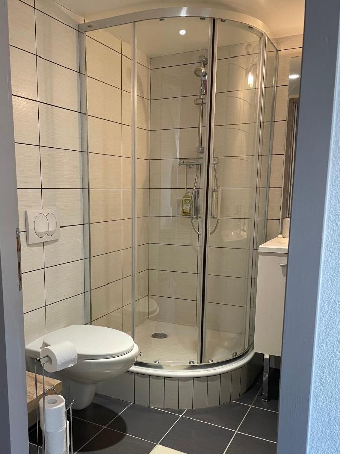 Studio Sous Les Toits Annecy Centre-Ville Εξωτερικό φωτογραφία